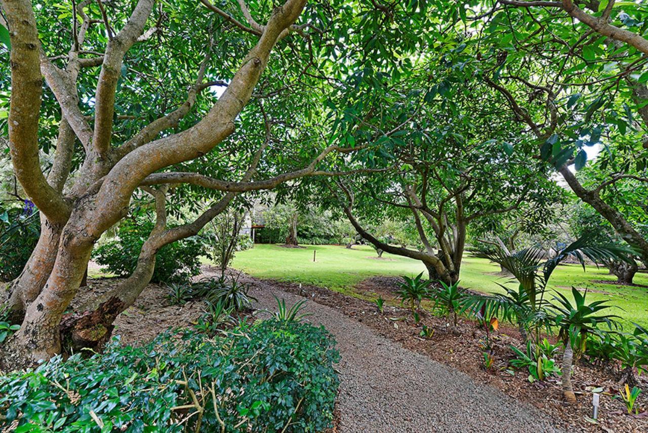 Camelot Boutique Accommodation Mount Tamborine Exterior photo