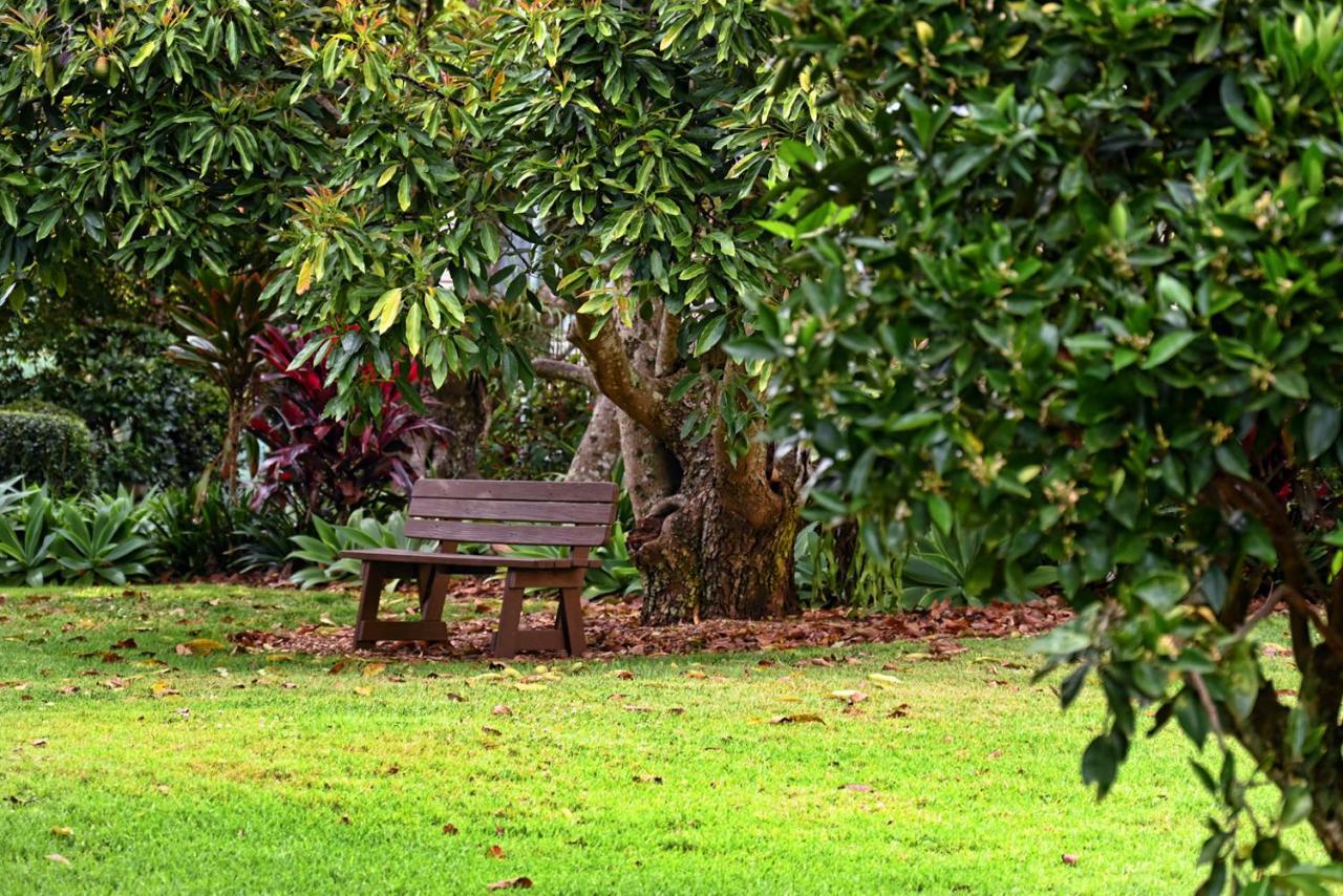 Camelot Boutique Accommodation Mount Tamborine Exterior photo