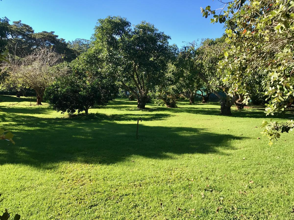 Camelot Boutique Accommodation Mount Tamborine Exterior photo