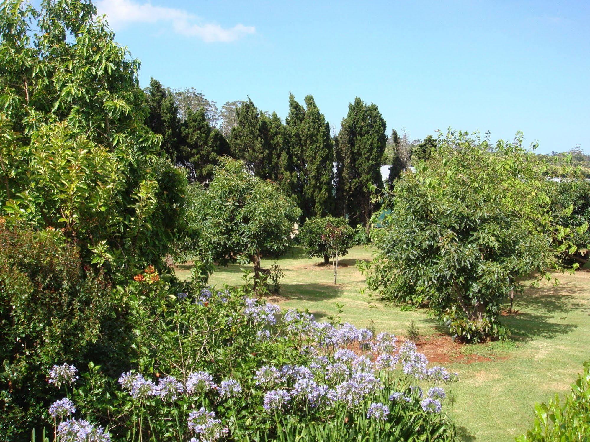 Camelot Boutique Accommodation Mount Tamborine Exterior photo