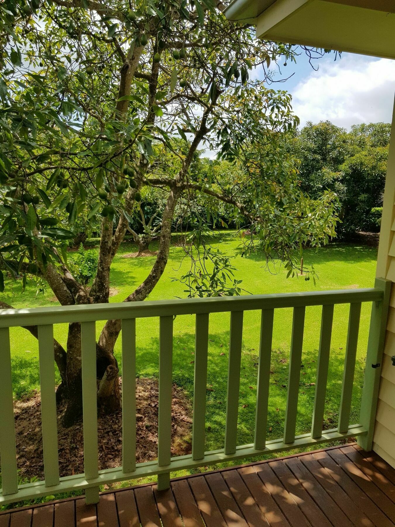 Camelot Boutique Accommodation Mount Tamborine Exterior photo