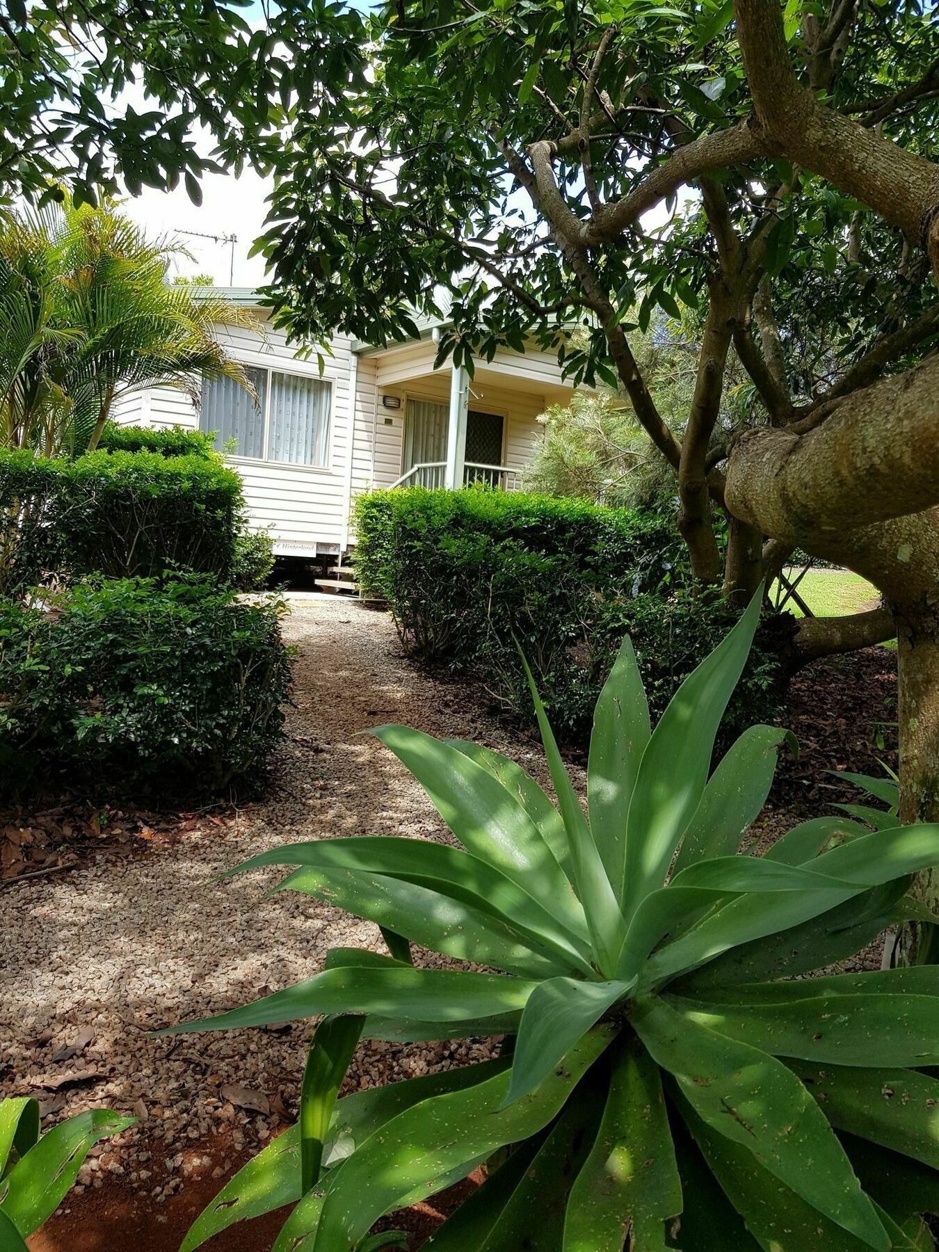 Camelot Boutique Accommodation Mount Tamborine Exterior photo